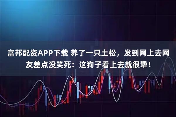 富邦配资APP下载 养了一只土松，发到网上去网友差点没笑死：这狗子看上去就很犟！