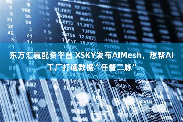 东方汇赢配资平台 XSKY发布AIMesh，想帮AI工厂打通数据“任督二脉”