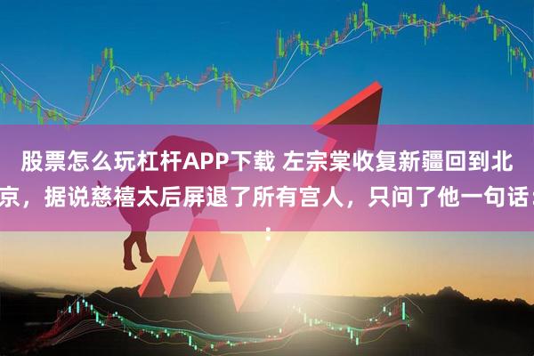 股票怎么玩杠杆APP下载 左宗棠收复新疆回到北京，据说慈禧太后屏退了所有宫人，只问了他一句话：
