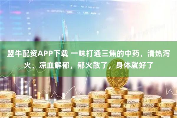 盟牛配资APP下载 一味打通三焦的中药，清热泻火、凉血解郁，郁火散了，身体就好了